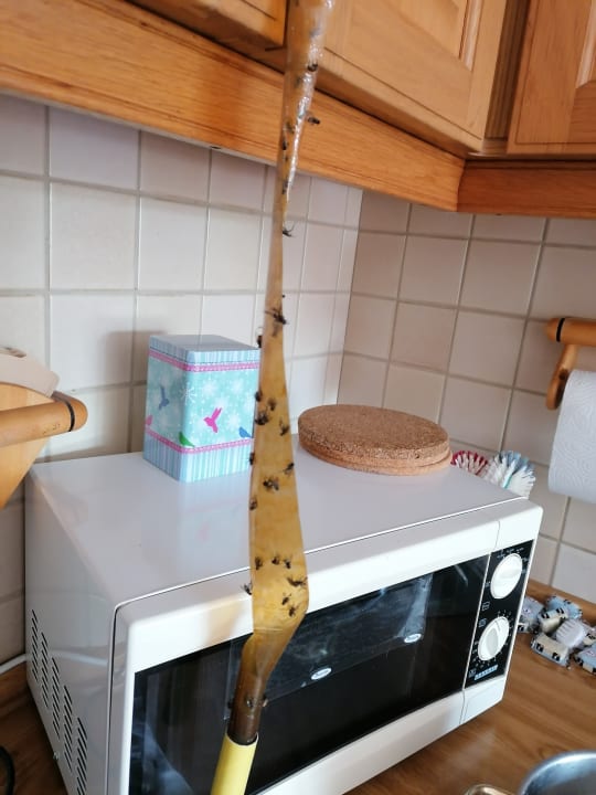 Gastro Ferienwohnung Drei Eichen II