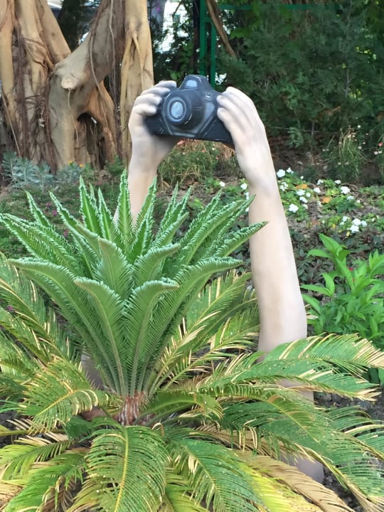 Kunst Side Star Elegance