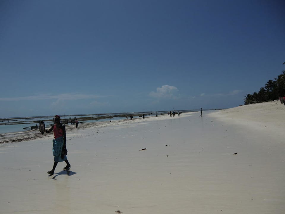 Strand bei Ebbe Hotel Southern Palms Beach Resort