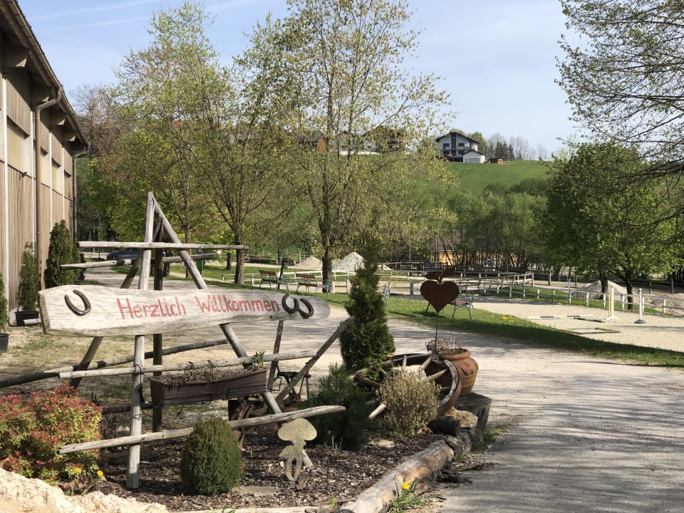 Sonstiges Aldiana Club Ampflwang