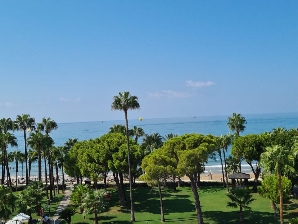 Gartenanlage Acanthus Cennet Barut Collection