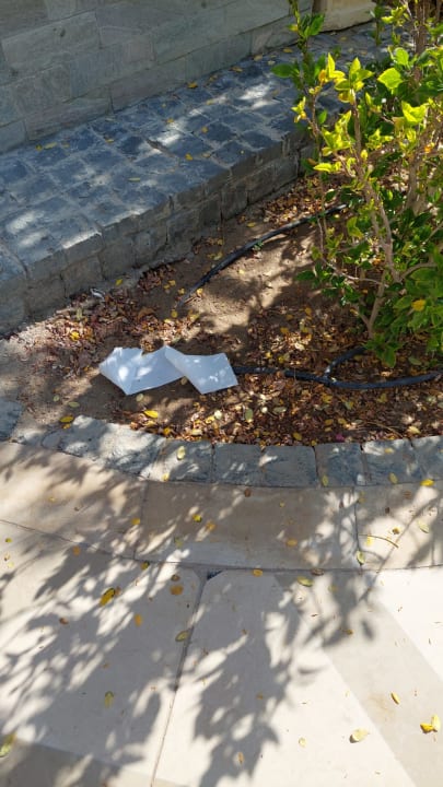 Gartenanlage The Grand Palace - Adults only