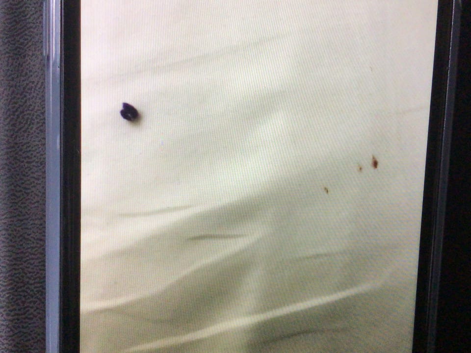 Zimmer Hotel Grand Washington