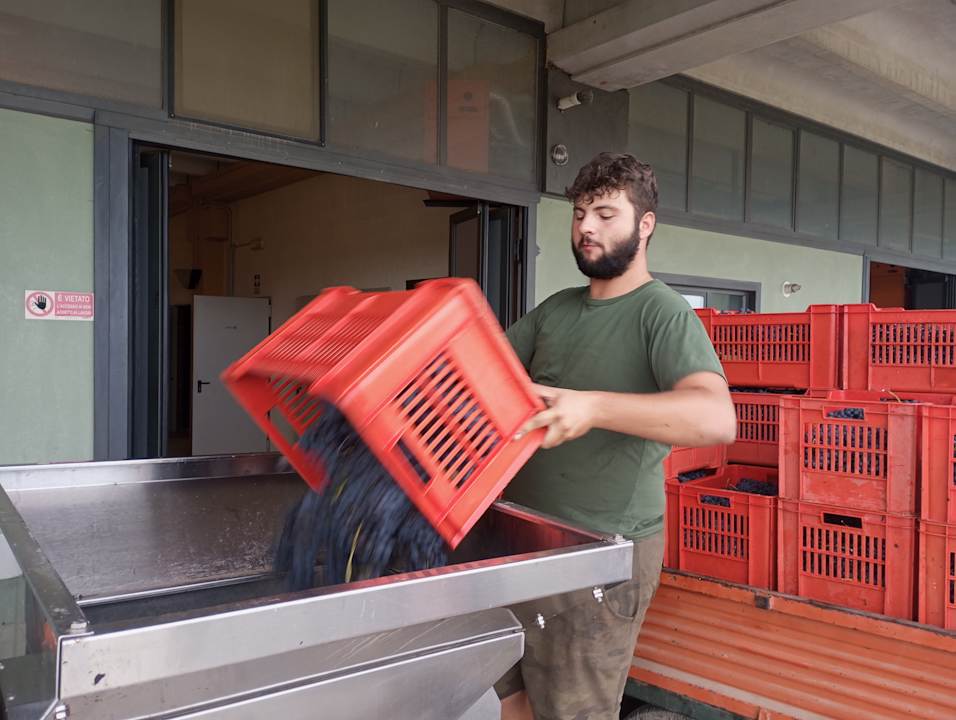 Sonstiges Agriturismo Bevione Davide