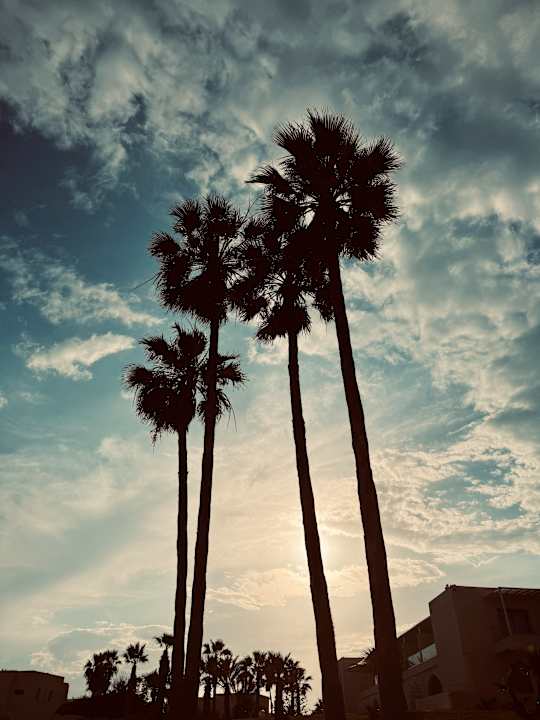 Pool One Resort Premium Hammamet