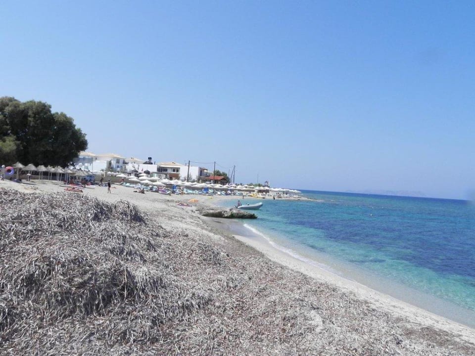 Hotel Strand von Chrissi Amoudia für und super TUI SUNEO Chrissi Amoudia