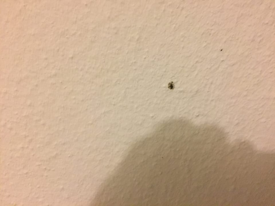 Zimmer Dreams La Romana Resort & Spa