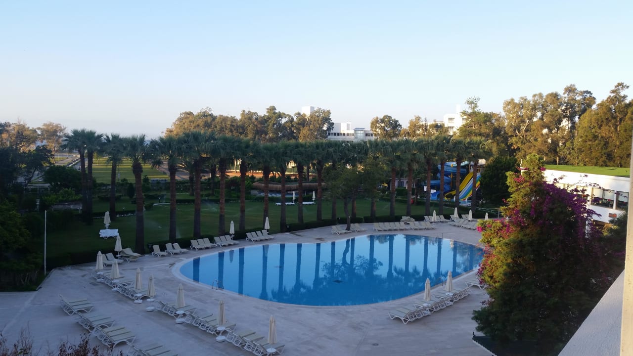 Pool Asteria Collection Side