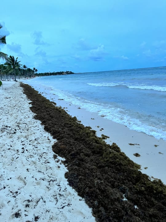 Strand Akumal Bay Beach & Wellness Resort