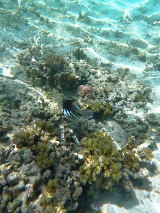 Sport & Freizeit Cinnamon Dhonveli Maldives