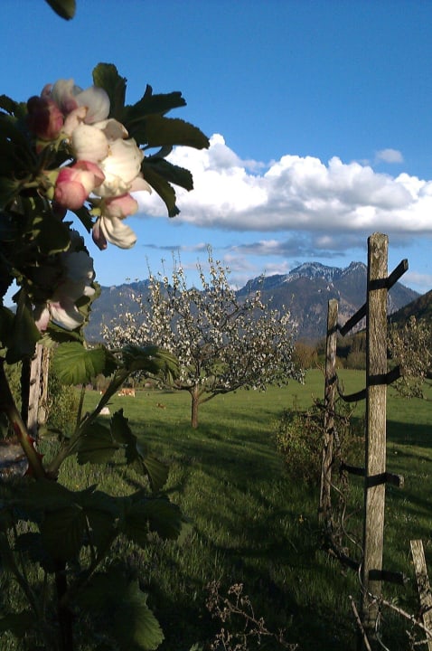 Frühlingserwachen Ferienwohnung Hoderhof