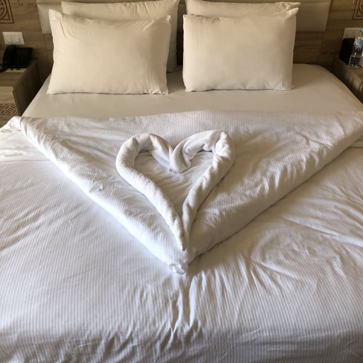 Zimmer Beach Albatros Resort
