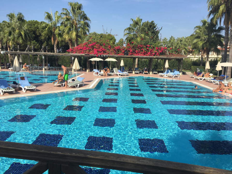 Pool Trendy Palm Beach (Adults Only, 16+)