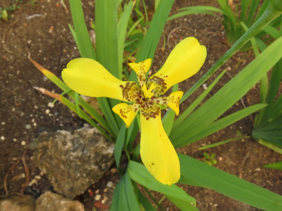 Gartenanlage Sol Rio De Luna y Mares