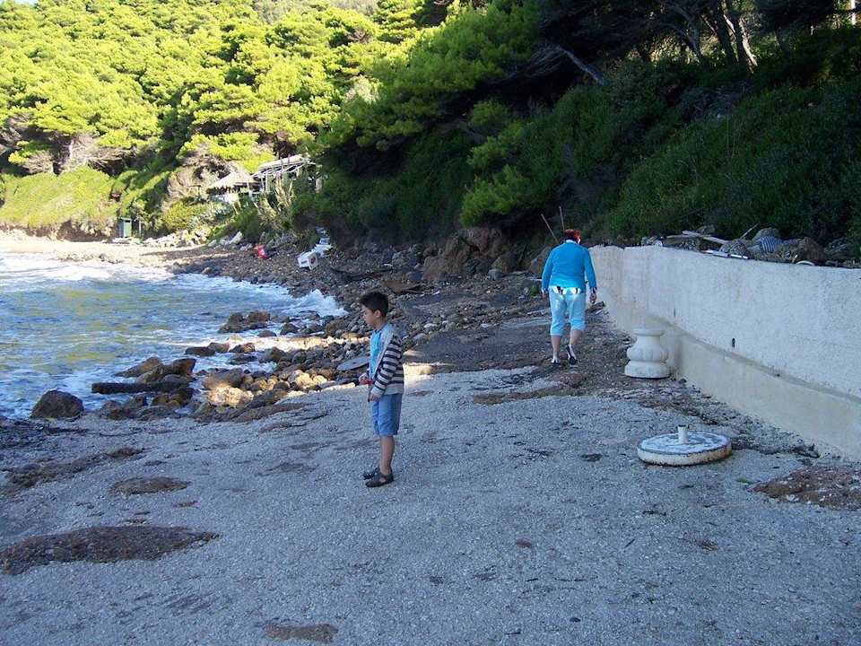 Müll Hotel Ambiente Palace