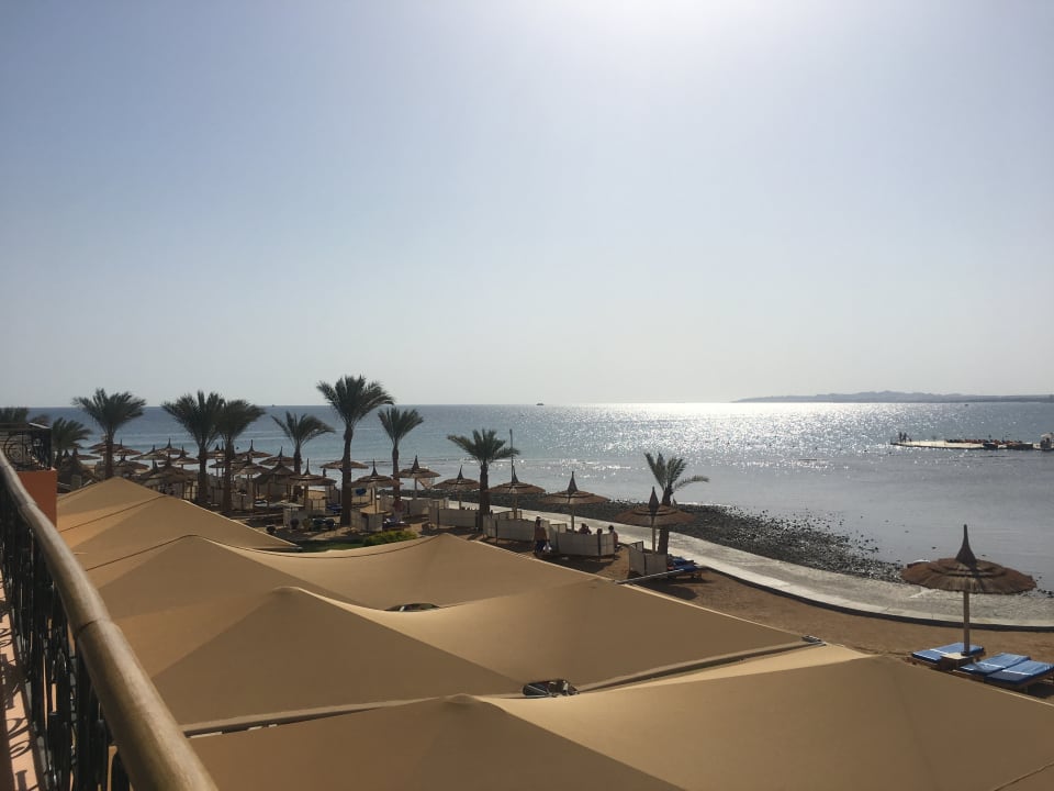 Restaurant Beach Albatros Resort