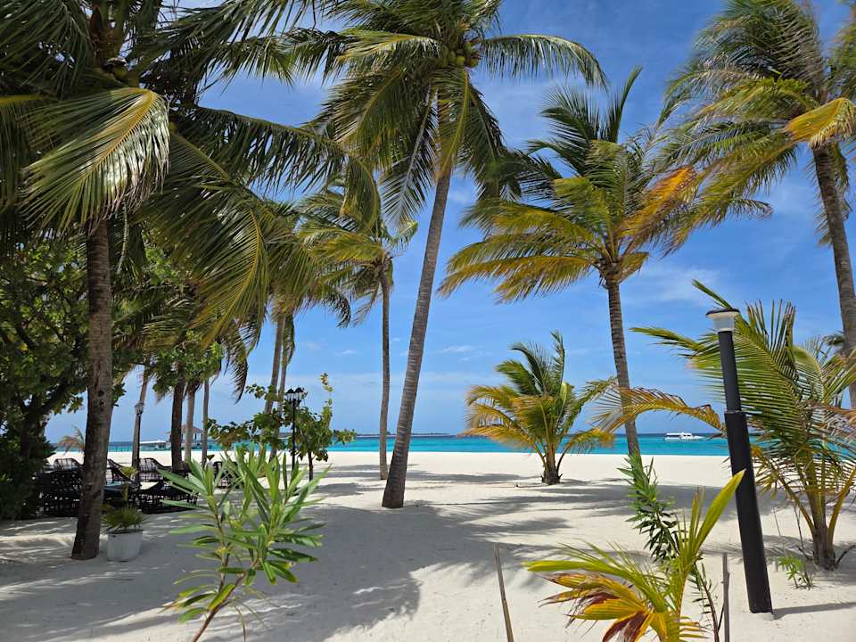 Strand Brennia Kottefaru