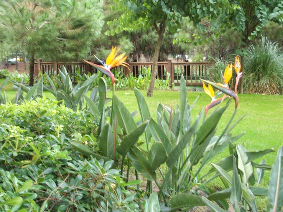 Einfach herrlich! Welch Augenweide! Voyage Belek Golf & Spa