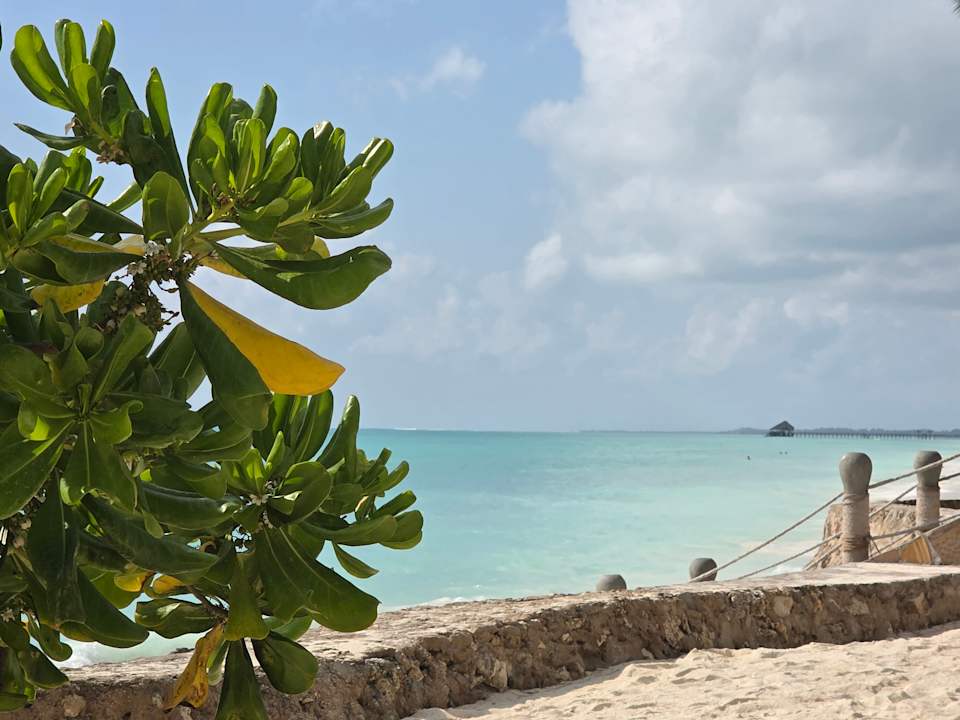 Strand TUI Blue Bahari Zanzibar