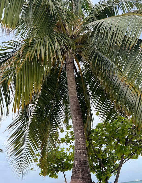 Strand Kuredu Island Resort & Spa