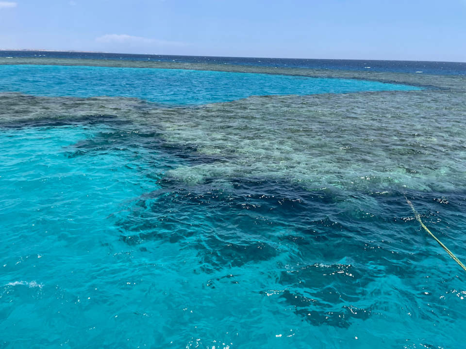 Strand Pickalbatros Sea World Resort - Marsa Alam