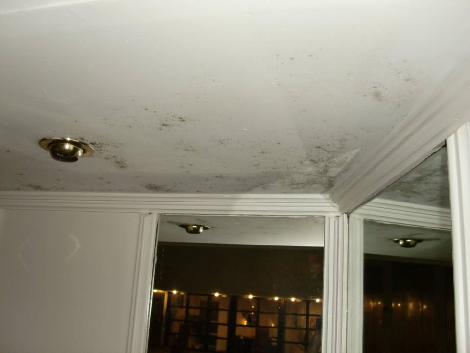 Bild Seehotel Waltershof im Malerwinkel