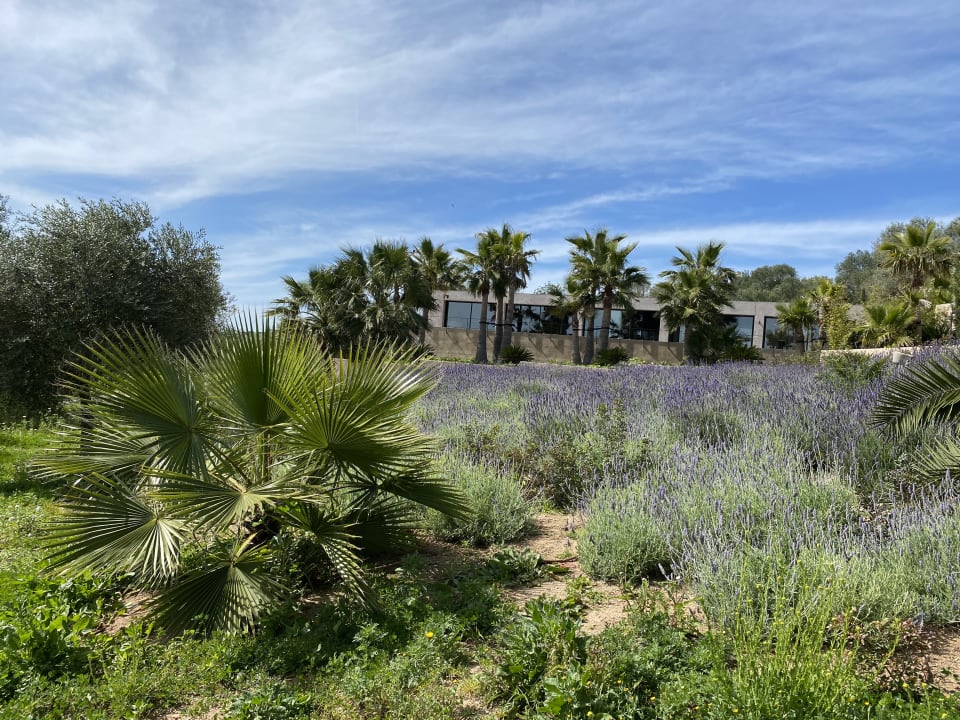 Gartenanlage Finca Serena
