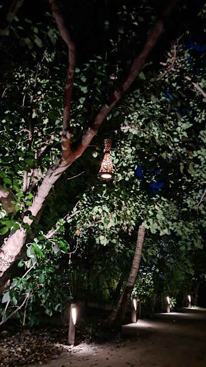 Gartenanlage Kuredu Island Resort & Spa