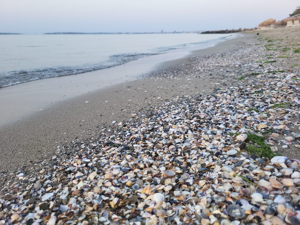 Strand Hotel Sineva Beach