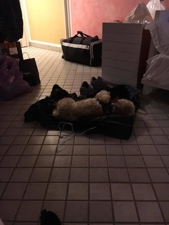 Zimmer The Marmara Antalya Hotel