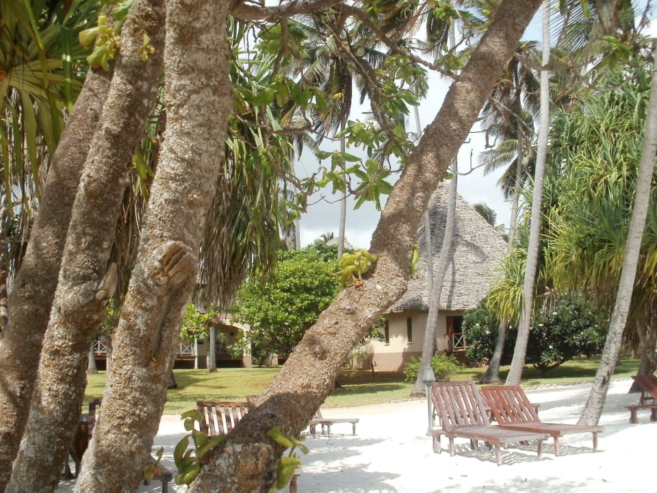 Sansibar Neptune Pwani Beach Resort & Spa