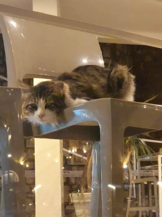 Ausblick Pickalbatros Dana Beach Resort - Hurghada