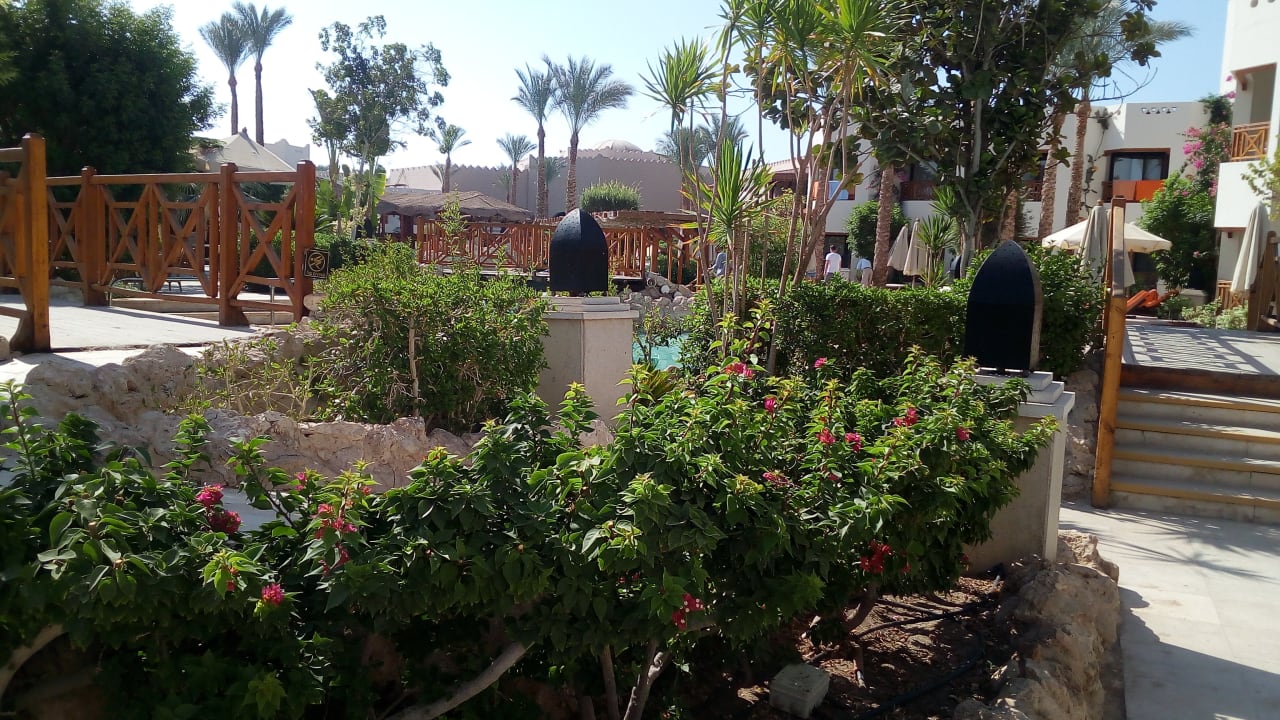 Gartenanlage Ghazala Gardens