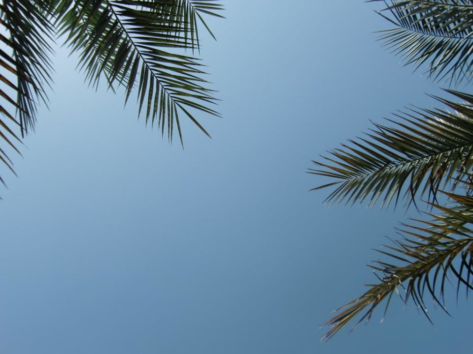 So war´s die ganze Woche Pickalbatros Alf Leila Wa Leila Resort - Neverland Hurghada