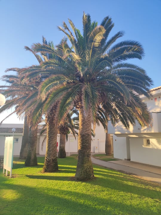 Außenansicht blau punta reina