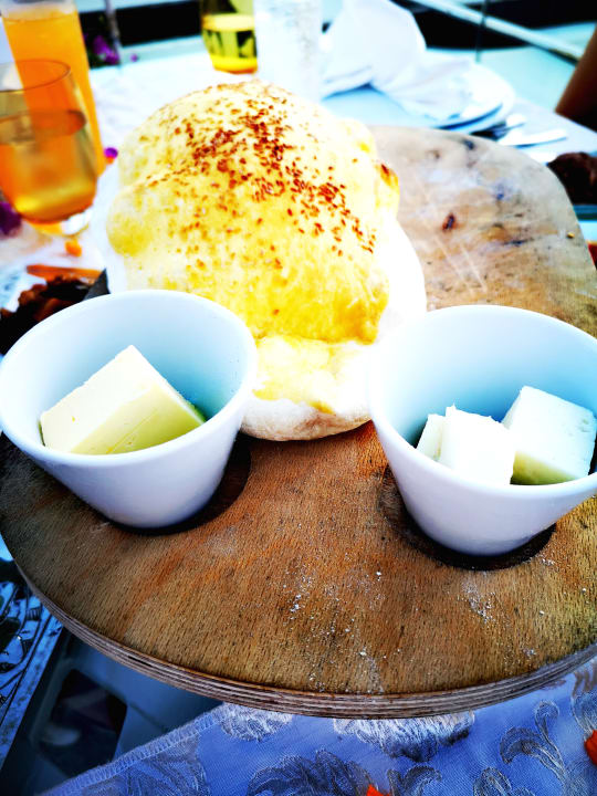 Gastro Paloma Oceana