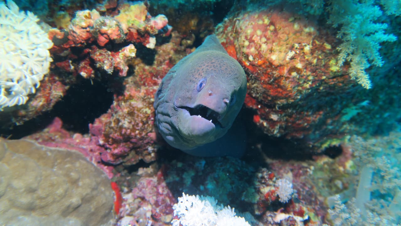 Sport & Freizeit Three Corners Equinox Beach Resort