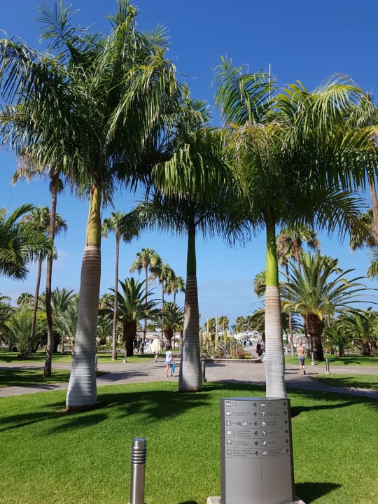 Gartenanlage Hotel Riu Gran Canaria