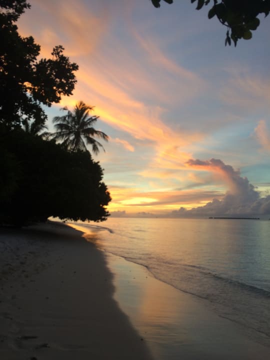 Strand Vilamendhoo Island Resort & Spa