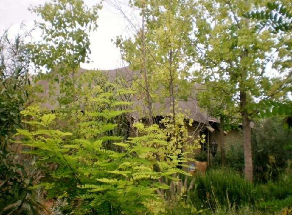 Kasbah Tamadot - HImmel auf Erden Hotel Kasbah Tamadot