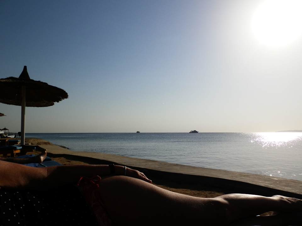 Morgens am Strand Beach Albatros Resort