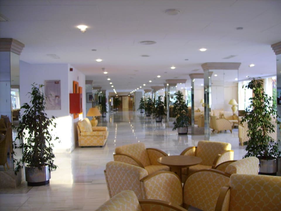 Hotel JS Alcudi Mar