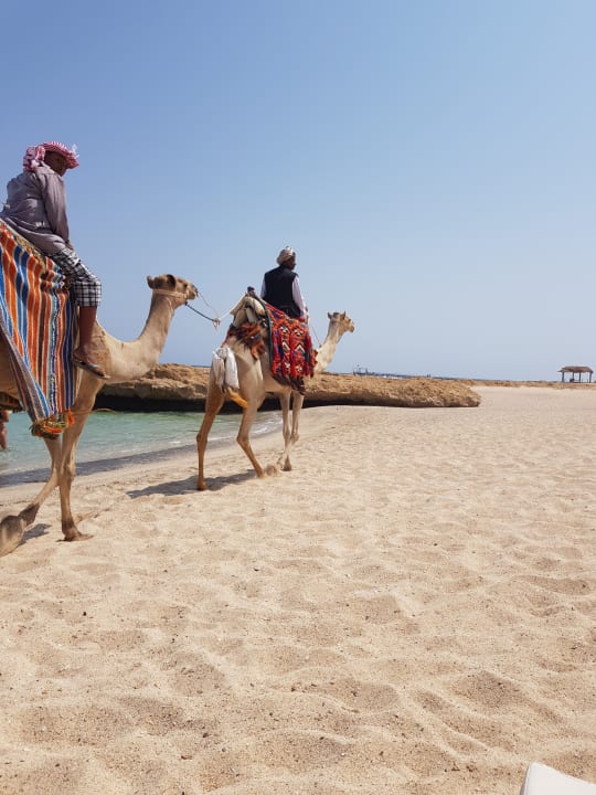 Strand Radisson Blu Resort, El Quseir