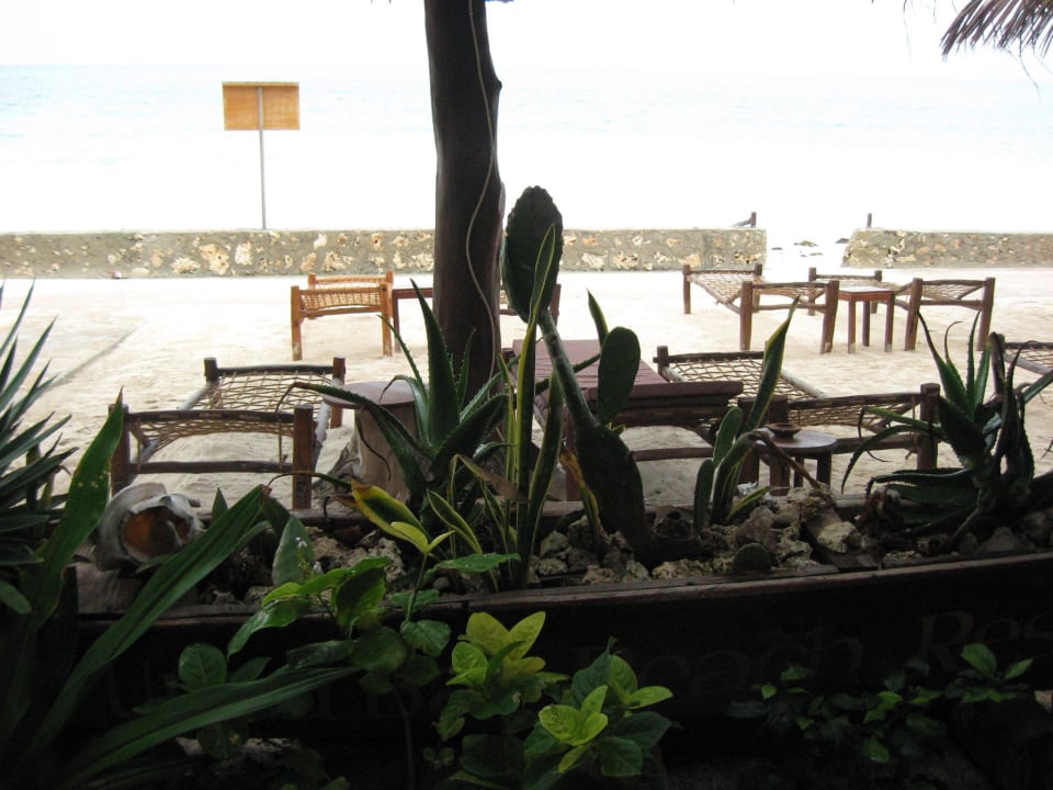 Blick von der Pool-/Beachbar zum Strand Jaz Adonia Beach Resort