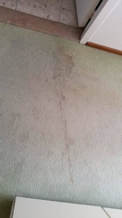 Der Teppich war in beiden Zimmern dreckig!! The Hague Marriott