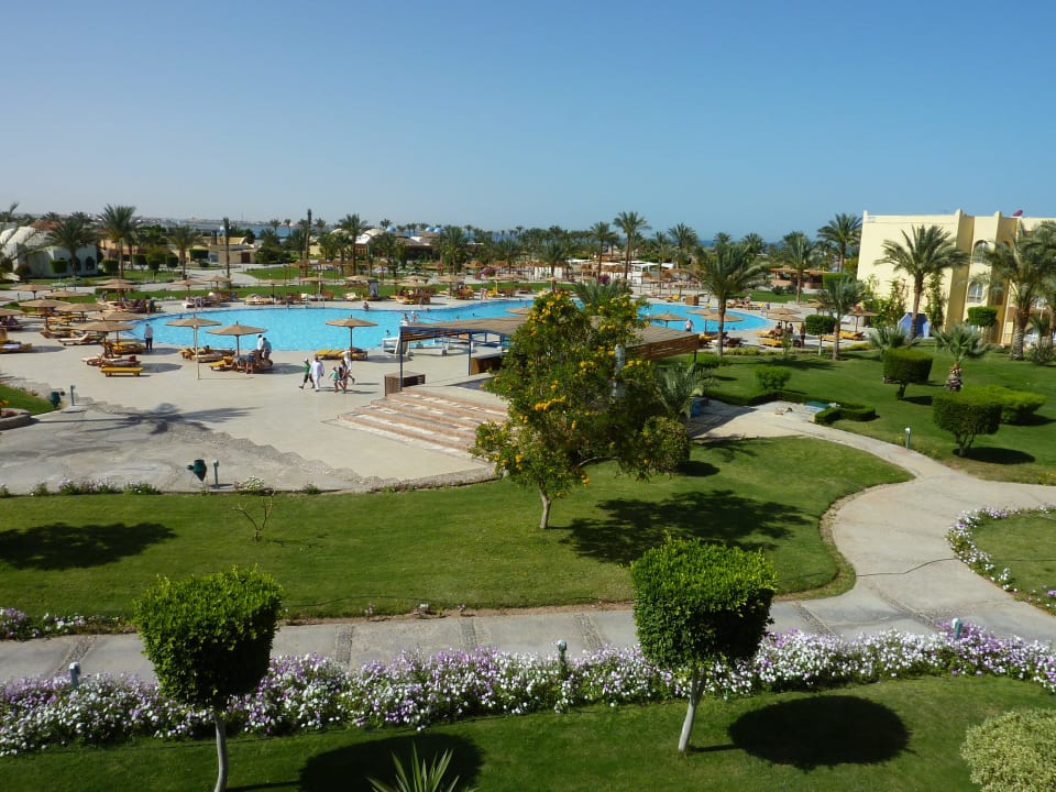 Poolblick Desert Rose