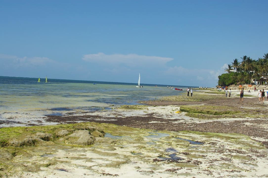 Hotel Bahari Beach Club Bahari Beach Hotel