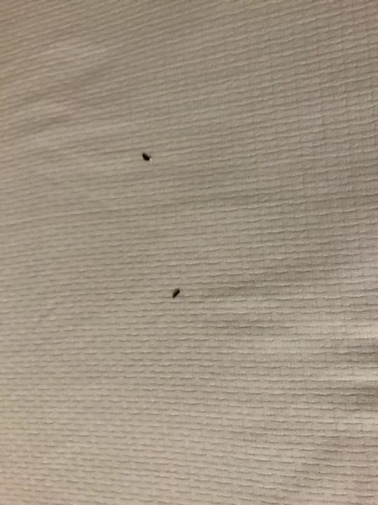 Zimmer Oz Hotels Incekum Beach