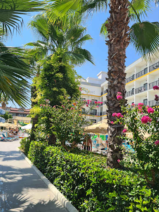 Gartenanlage Hane Family Resort