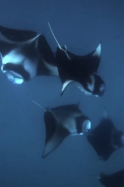 Sport & Freizeit NH Collection Maldives Reethi Resort